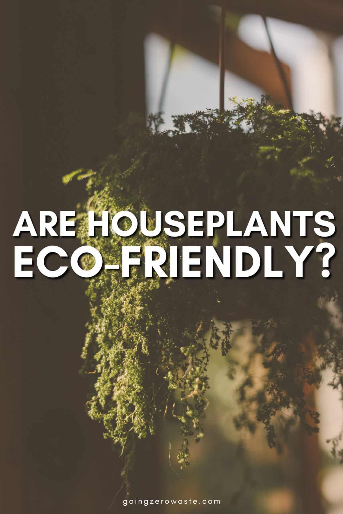 Is Your Plant Dependancy Eco-Nice?